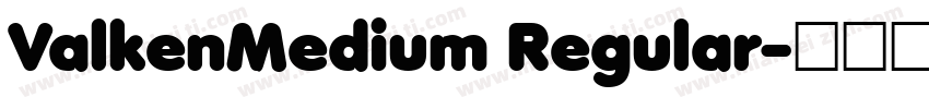 ValkenMedium Regular字体转换